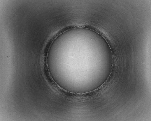 X0000112070736200908041233