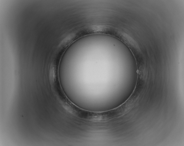 X0000112070740200908041233