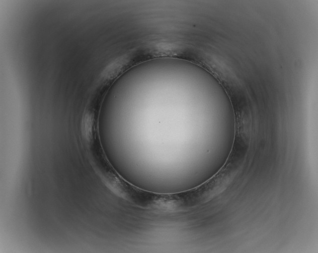 X0000112070742200908041233