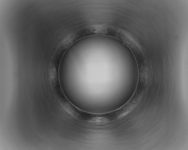 X0000112070748200908041233