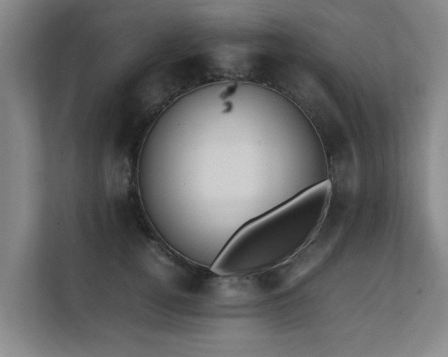 X0000112070752200908041234