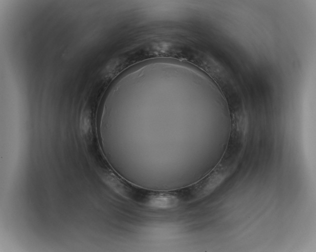 X0000112070754200908041234