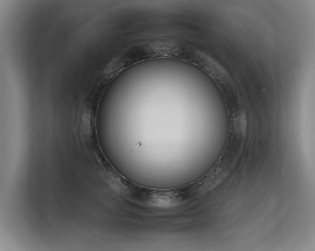 X0000112070757200908041234