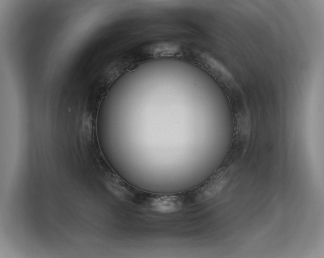 X0000112070761200908041234