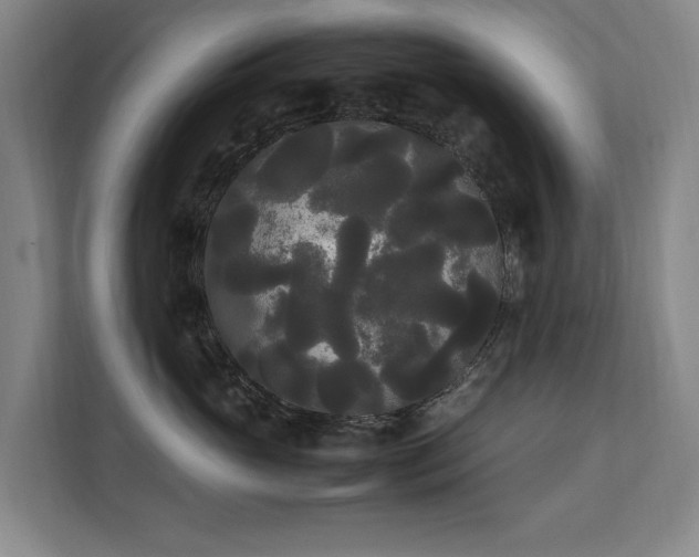 X0000112070765200908041234