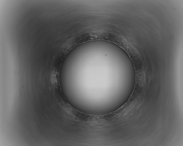 X0000112070770200908041233