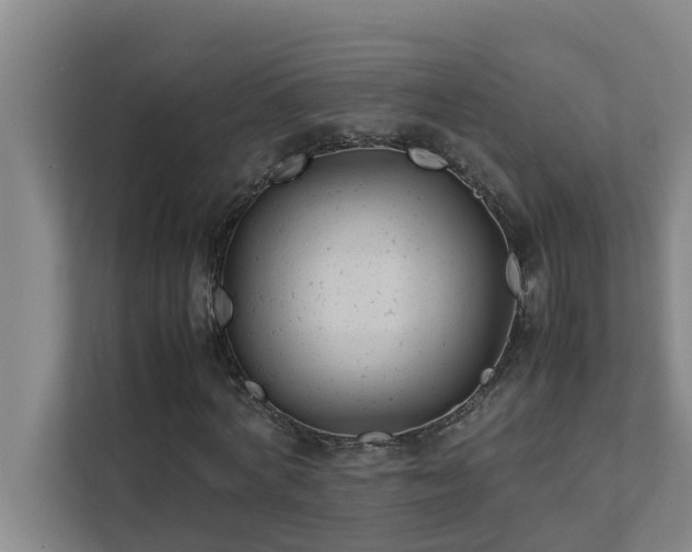 X0000112070772200908041233