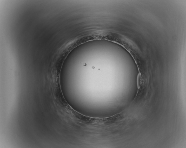 X0000112070773200908041233