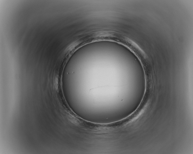 X0000112070777200908041233