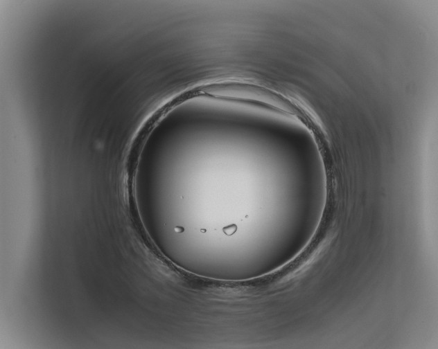 X0000112070781200908041233