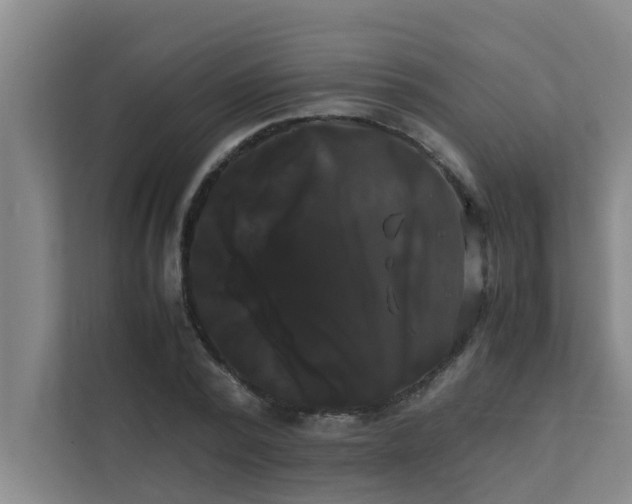 X0000112070784200908041233