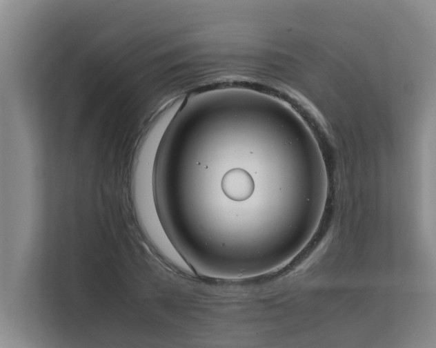 X0000112070785200908041233