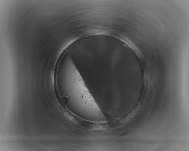 X0000112070790200908041233