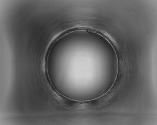 X0000112070791200908041233