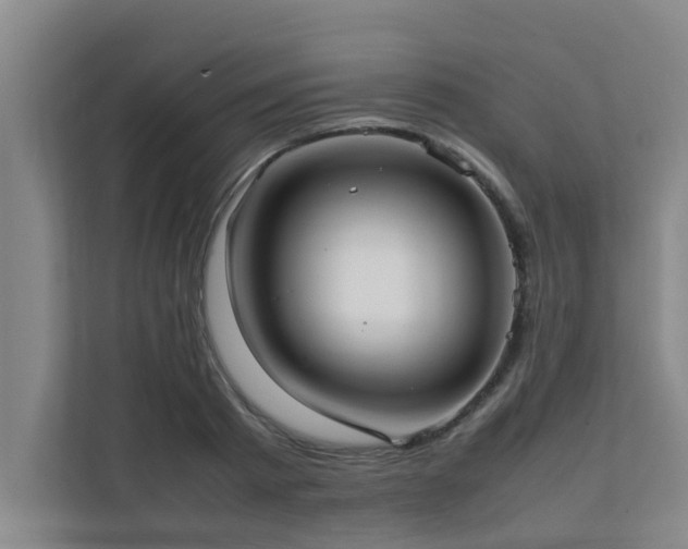 X0000112070793200908041233