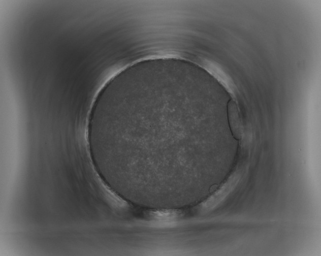 X0000112070797200908041233