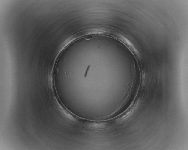 X0000112070802200908041233