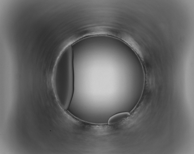 X0000112070805200908041233