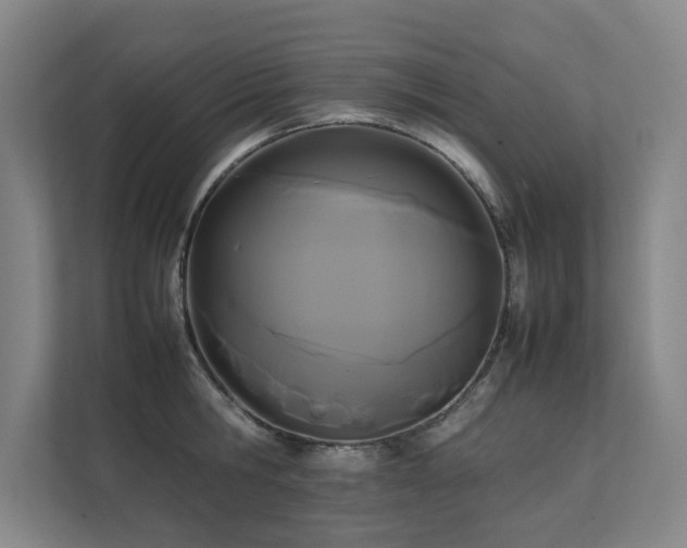 X0000112070806200908041233