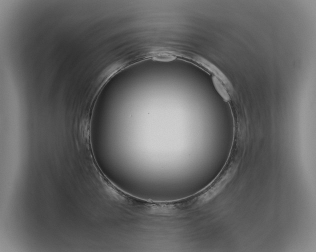 X0000112070809200908041233