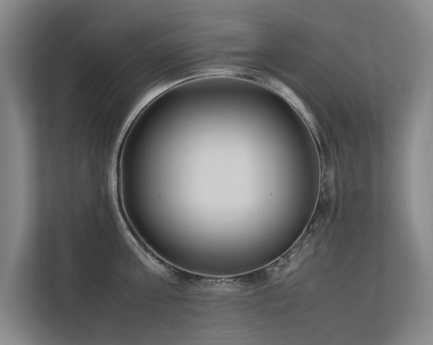 X0000112070811200908041233