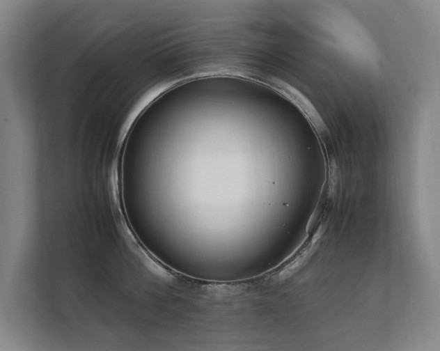 X0000112070812200908041233
