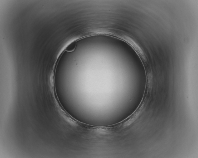 X0000112070814200908041233