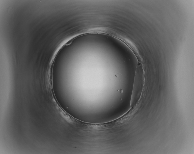 X0000112070816200908041233