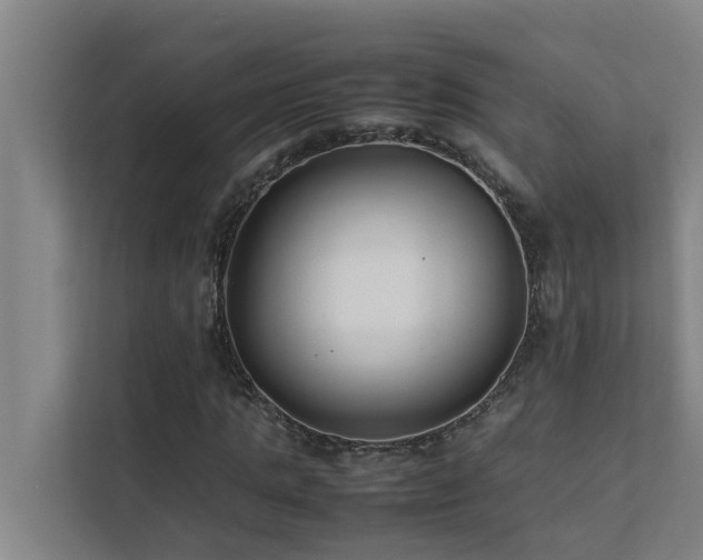 X0000112070821200908041232