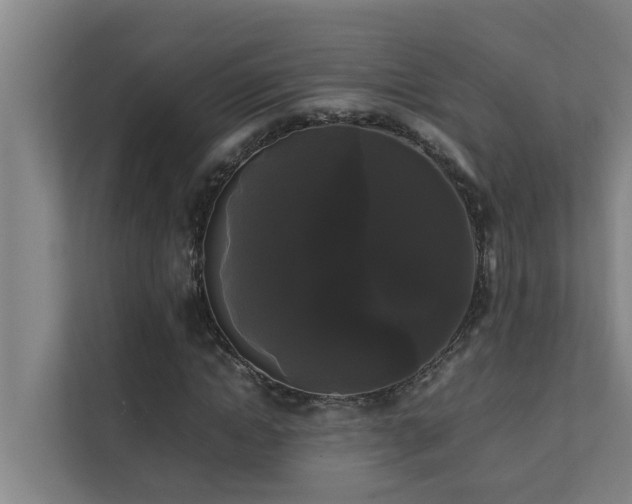 X0000112070822200908041232