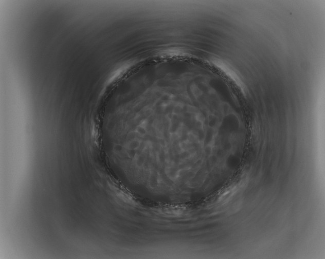 X0000112070823200908041232