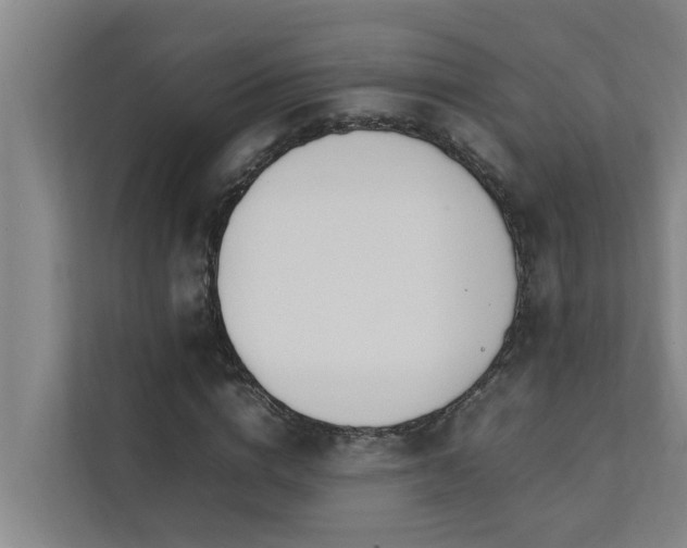 X0000112070824200908041232