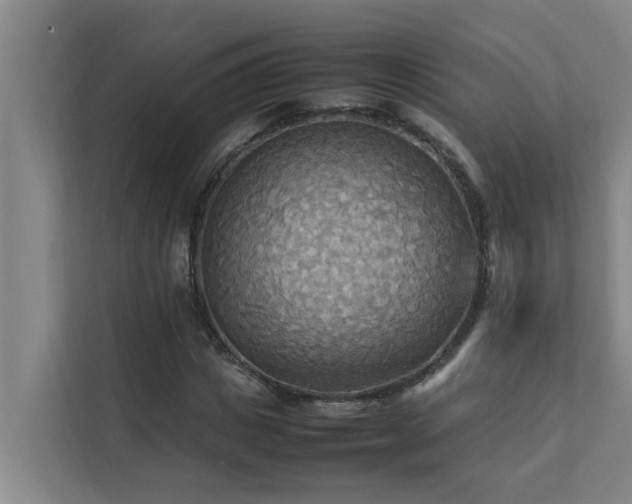 X0000112070825200908041232