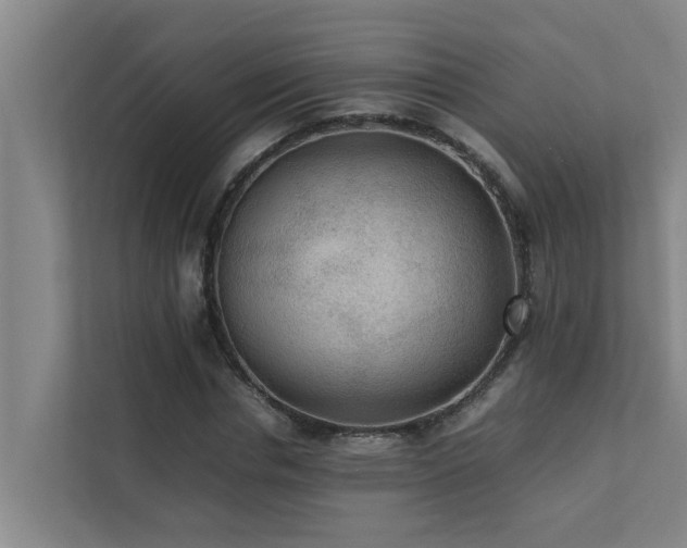 X0000112070826200908041232