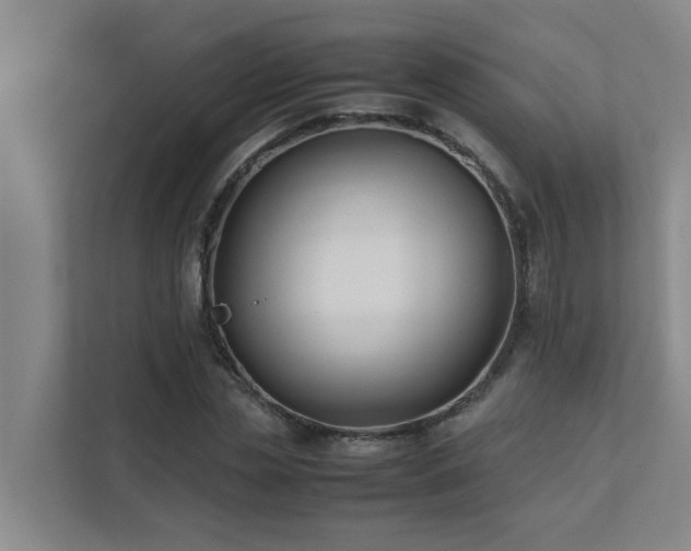 X0000112070829200908041232