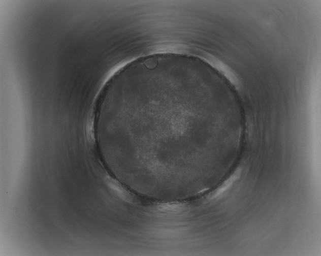 X0000112070830200908041232