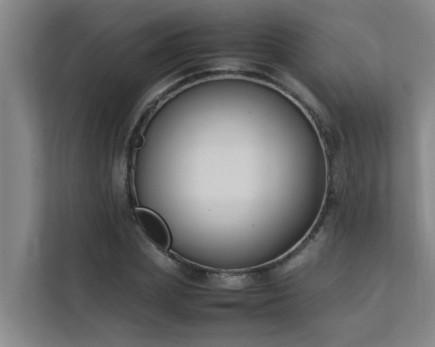 X0000112070831200908041232