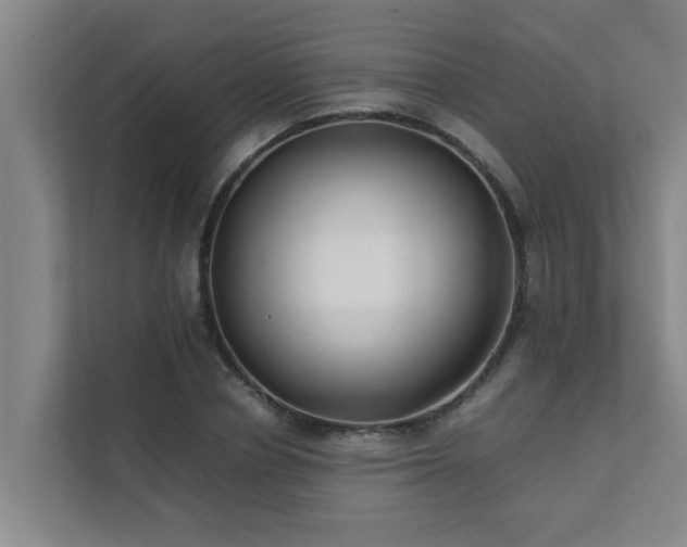 X0000112070834200908041232