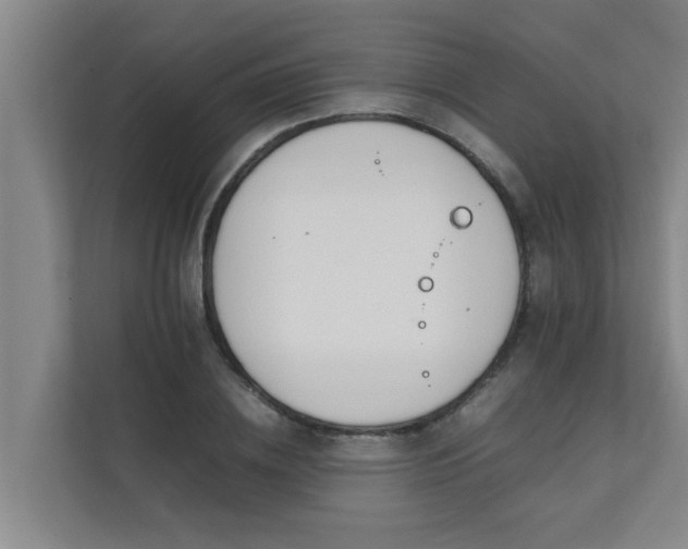 X0000112070836200908041232