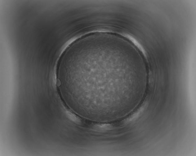 X0000112070837200908041232
