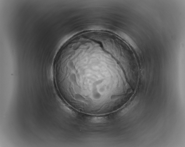 X0000112070839200908041232