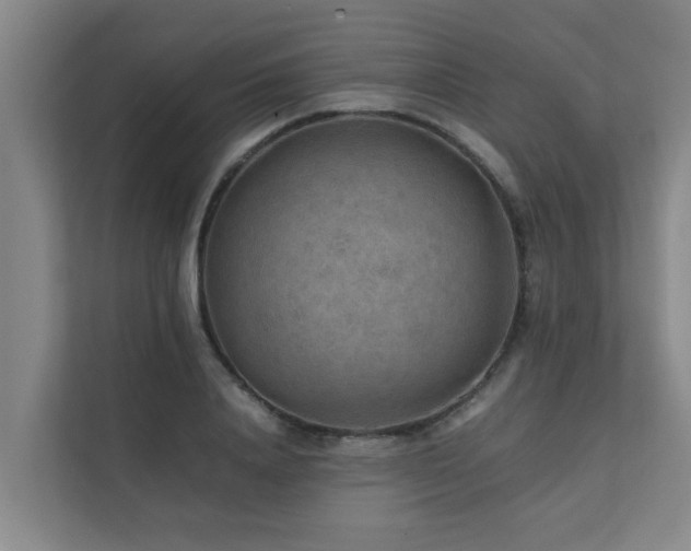 X0000112070840200908041232
