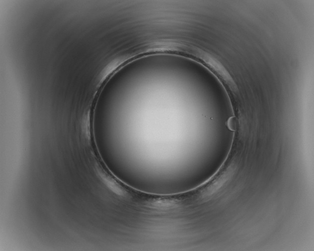 X0000112070842200908041232