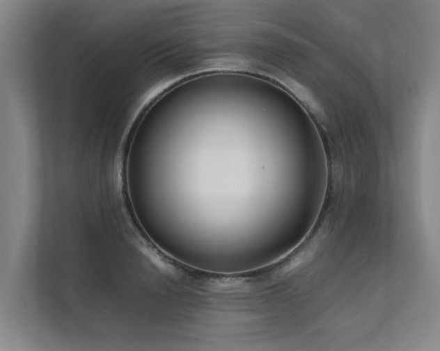 X0000112070846200908041232