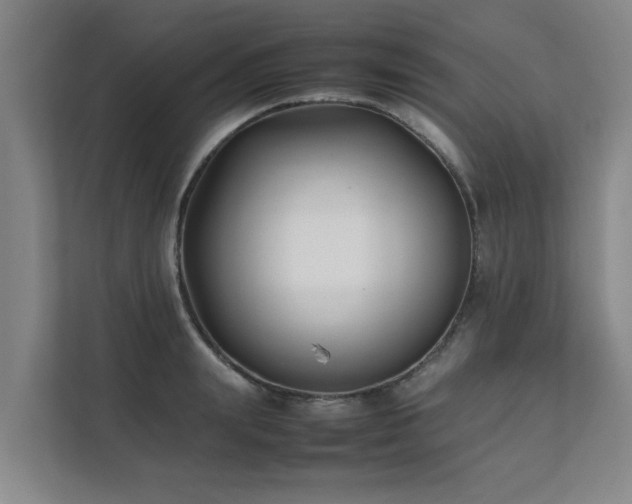 X0000112070847200908041232
