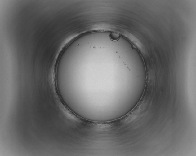 X0000112070848200908041232