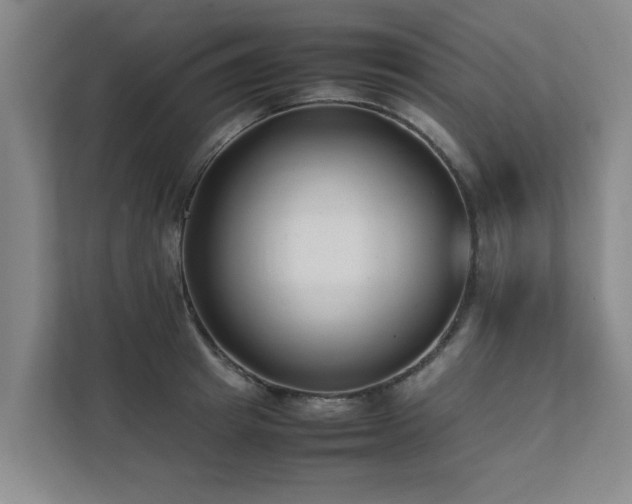 X0000112070849200908041232