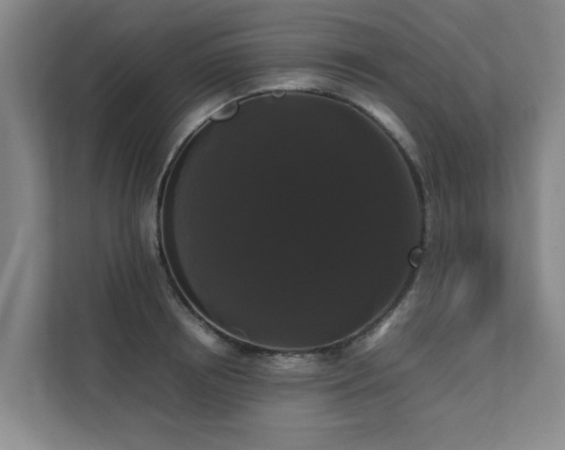 X0000112070850200908041232