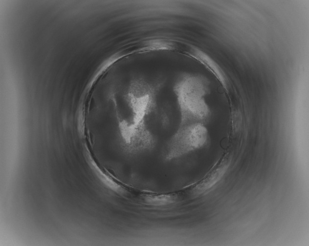 X0000112070851200908041232