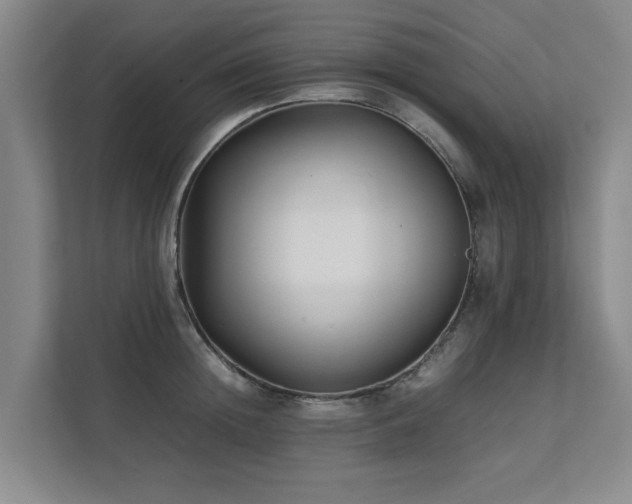 X0000112070852200908041232